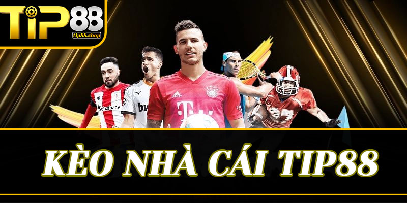 Chiến thuật "Thả mồi" và "Chốt hạ" trong soi kèo trực tiếp